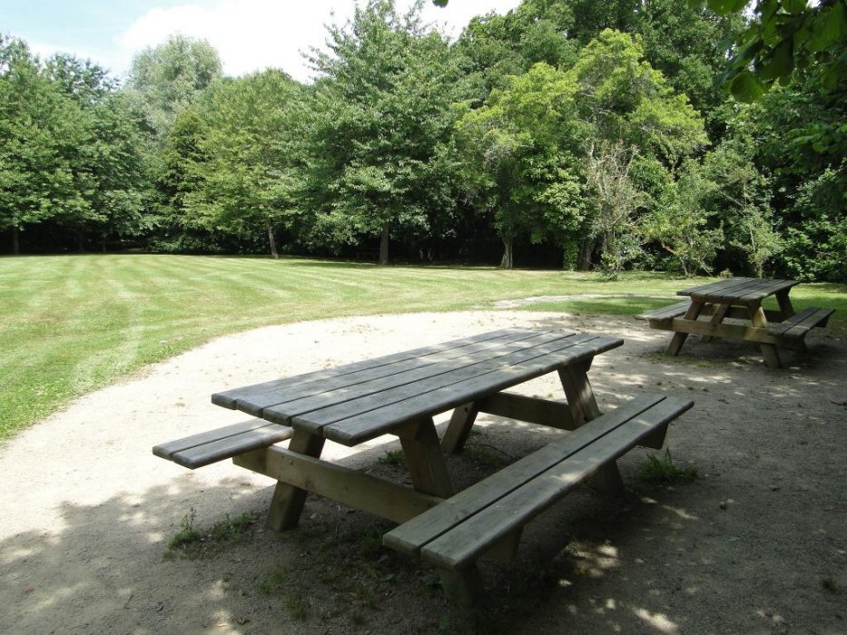 Deux grandes tables de pique-nique dans un espace végétalisé.