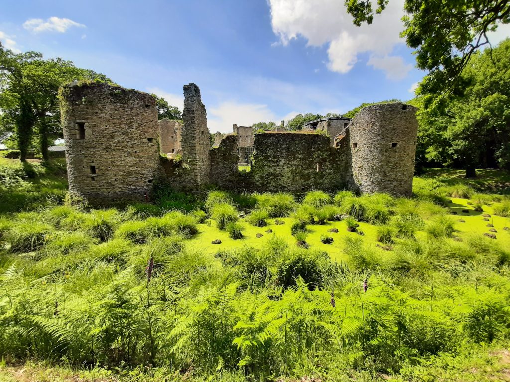 Vue en contre-plongée des courtines.