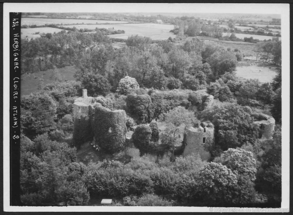 Photo d’archive du château en 1950, envahi par la végétation avant l’intervention de l’association.